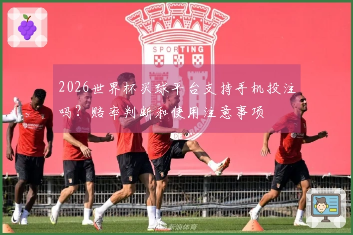 2026世界杯买球平台支持手机投注吗？赔率判断和使用注意事项