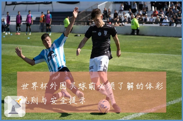 世界杯外围买球前必须了解的体彩规则与安全提示