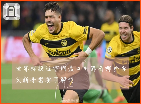 世界杯投注官网盘口升降有哪些含义新手需要了解吗