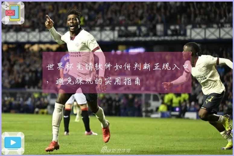世界杯竞猜软件如何判断正规入口，避免踩坑的实用指南