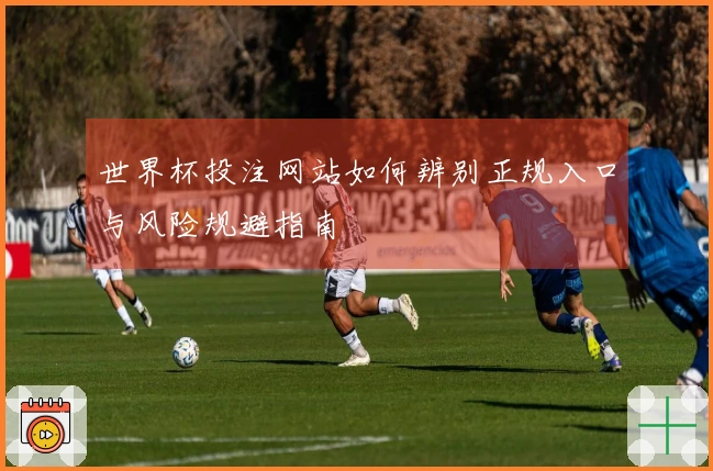 世界杯投注网站如何辨别正规入口与风险规避指南