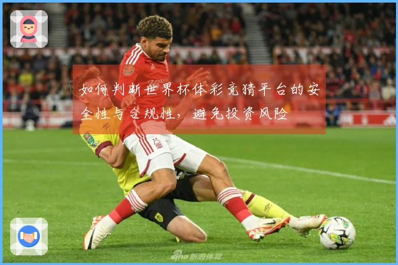 如何判断世界杯体彩竞猜平台的安全性与合规性，避免投资风险
