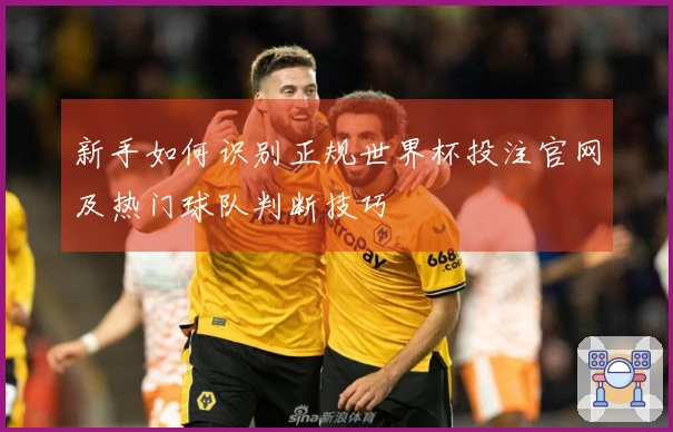 新手如何识别正规世界杯投注官网及热门球队判断技巧