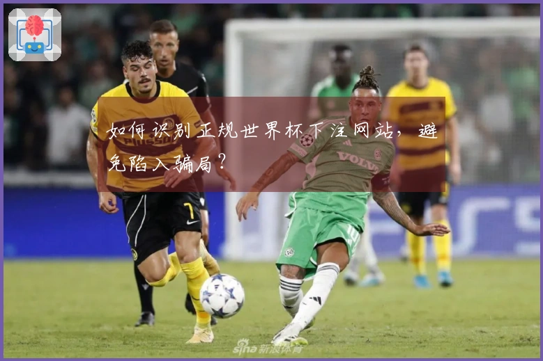 如何识别正规世界杯下注网站，避免陷入骗局？