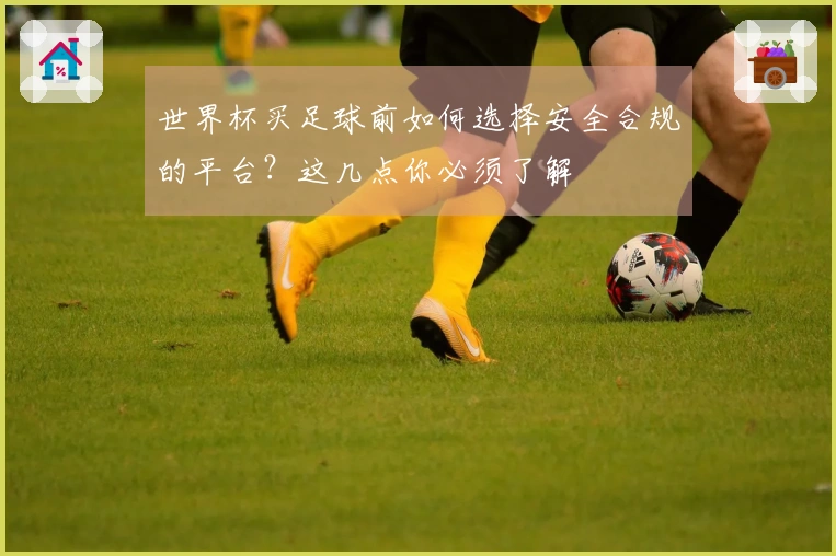 世界杯买足球前如何选择安全合规的平台？这几点你必须了解
