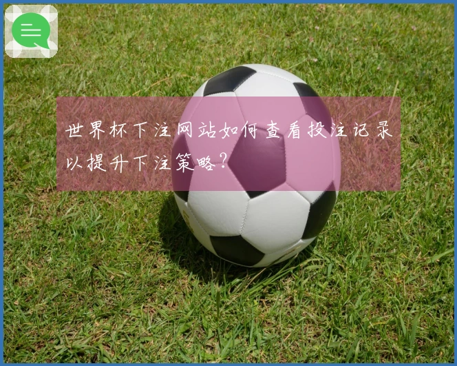 世界杯下注网站如何查看投注记录以提升下注策略？