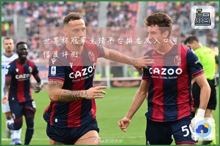 世界杯冠军竞猜平台排名及入口可信度评测