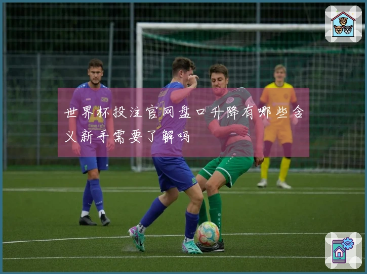 世界杯投注官网盘口升降有哪些含义新手需要了解吗