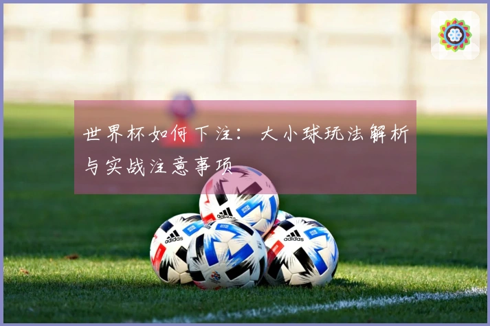 世界杯如何下注：大小球玩法解析与实战注意事项