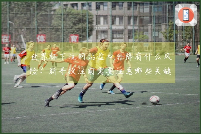世界杯下注网站盘口升降有什么风险？新手投注前需要注意哪些关键点