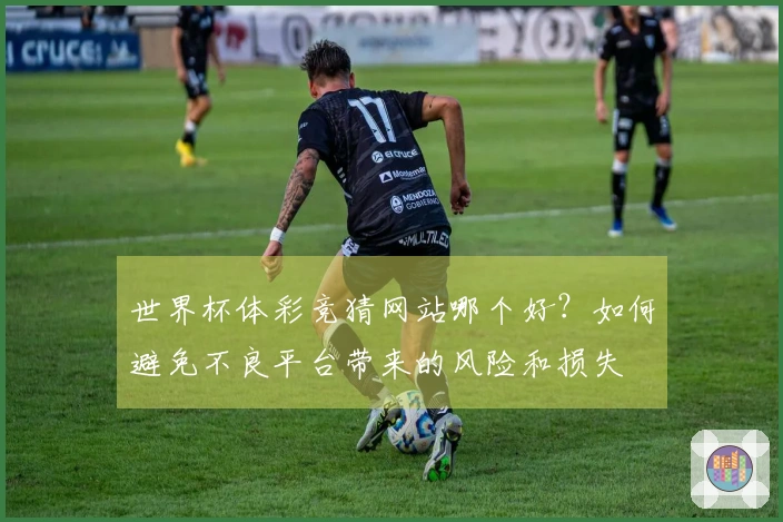 世界杯体彩竞猜网站哪个好?如何避免不良平台带来的风险和损失