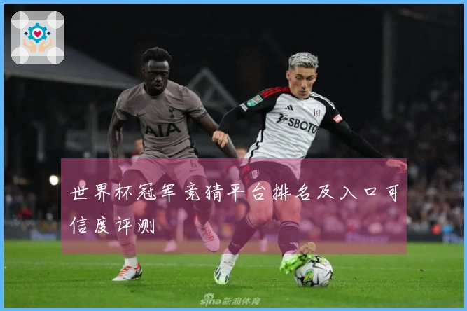 世界杯冠军竞猜平台排名及入口可信度评测