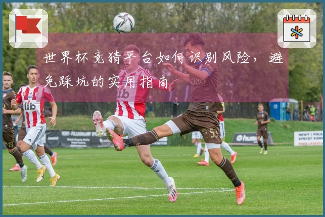 世界杯竞猜平台如何识别风险，避免踩坑的实用指南