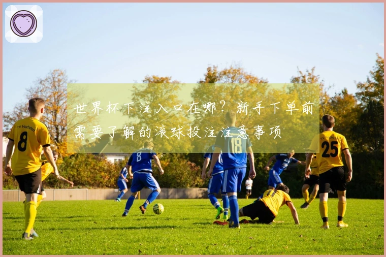 世界杯下注入口在哪？新手下单前需要了解的滚球投注注意事项