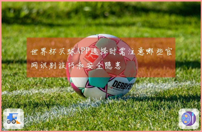 世界杯买球APP选择时需注意哪些官网识别技巧和安全隐患