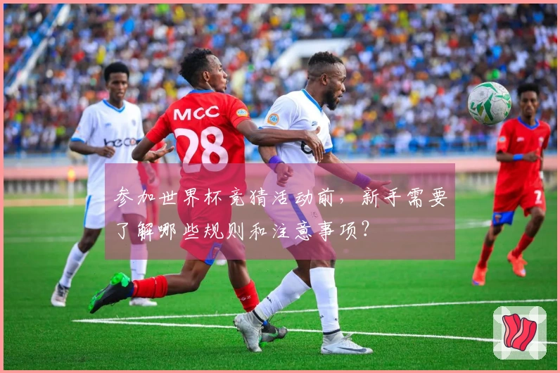 参加世界杯竞猜活动前，新手需要了解哪些规则和注意事项？