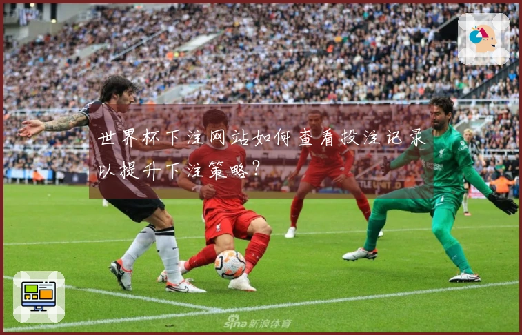 世界杯下注网站如何查看投注记录以提升下注策略？