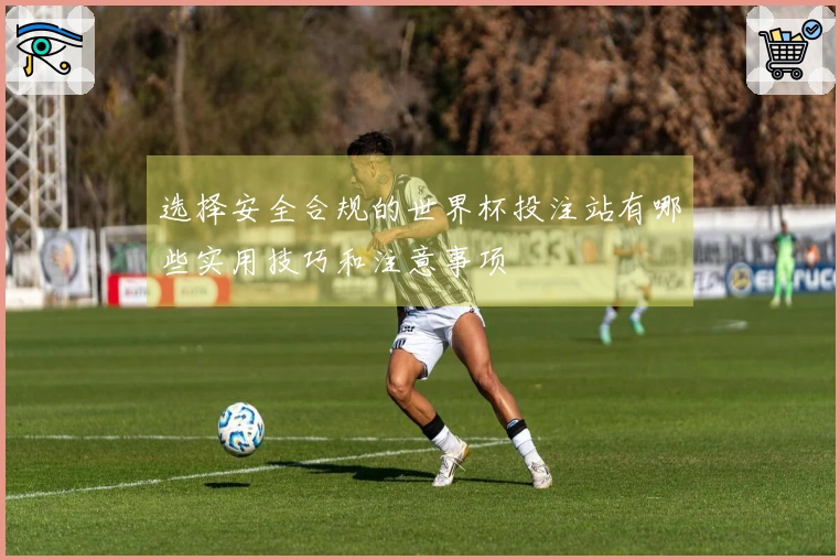 选择安全合规的世界杯投注站有哪些实用技巧和注意事项