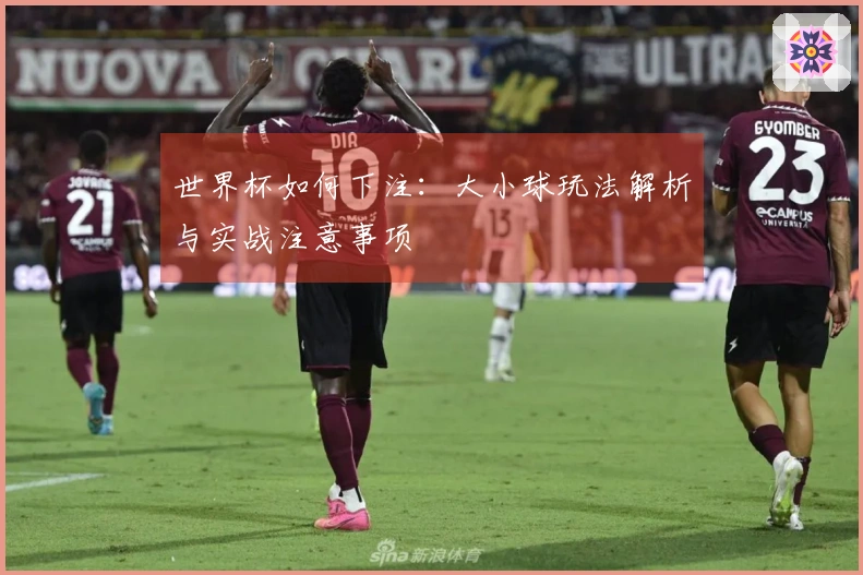 世界杯如何下注：大小球玩法解析与实战注意事项