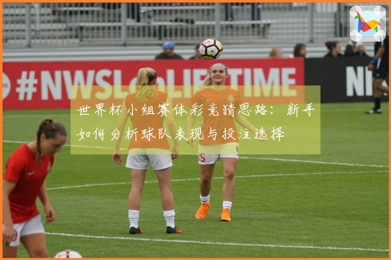 世界杯小组赛体彩竞猜思路：新手如何分析球队表现与投注选择