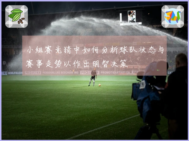 小组赛竞猜中如何分析球队状态与赛事走势以作出明智决策