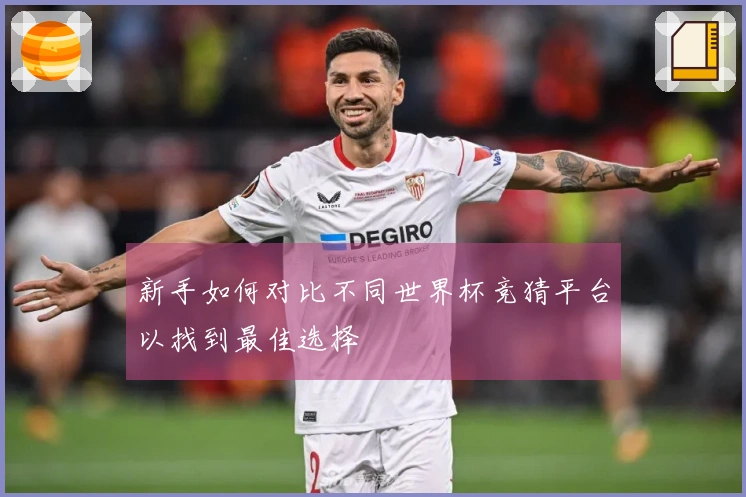 新手如何对比不同世界杯竞猜平台以找到最佳选择