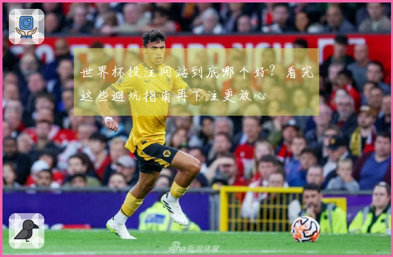 世界杯投注网站到底哪个好？看完这些避坑指南再下注更放心
