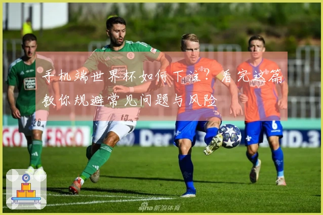 手机端世界杯如何下注？看完这篇教你规避常见问题与风险