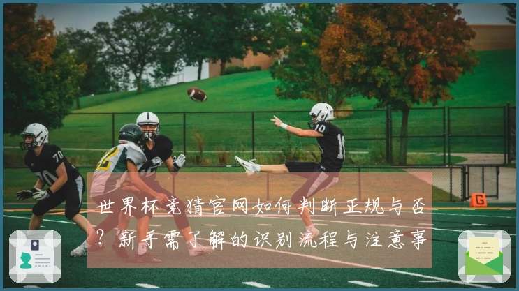 世界杯竞猜官网如何判断正规与否？新手需了解的识别流程与注意事项
